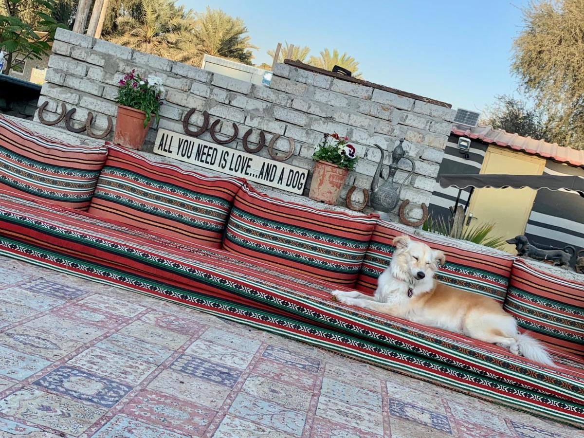 Rak Glamping Ras al-Khaimah Exterior foto