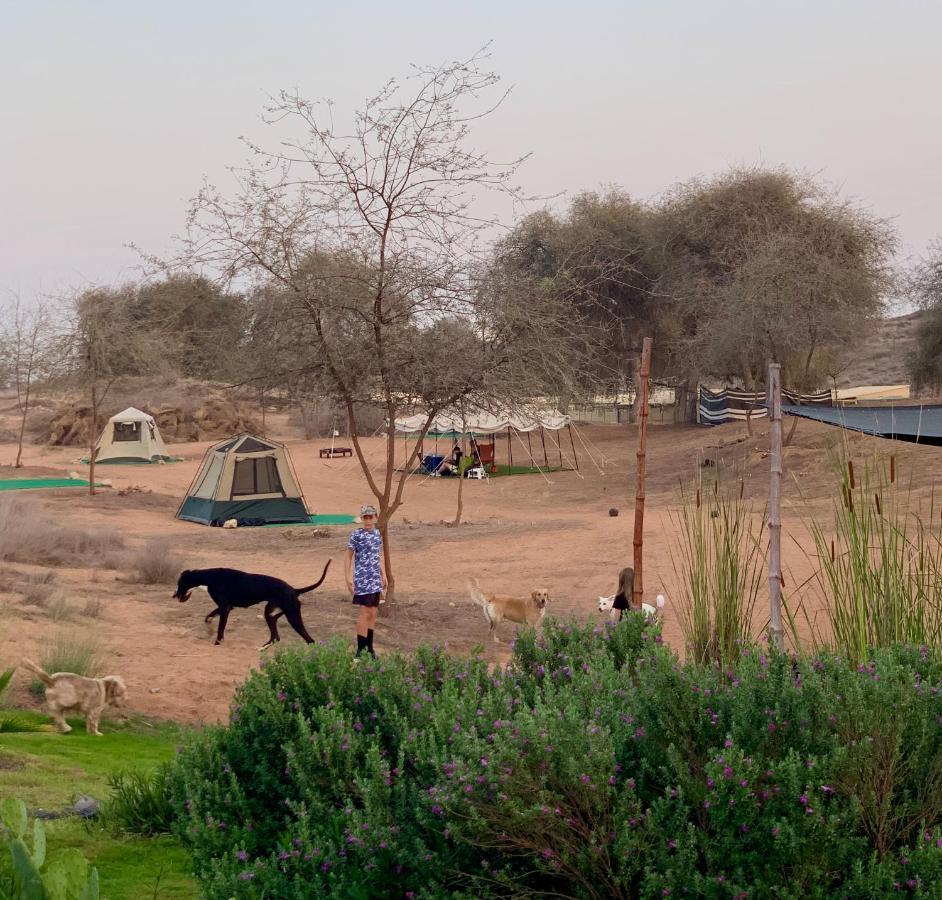 Rak Glamping Ras al-Khaimah Exterior foto