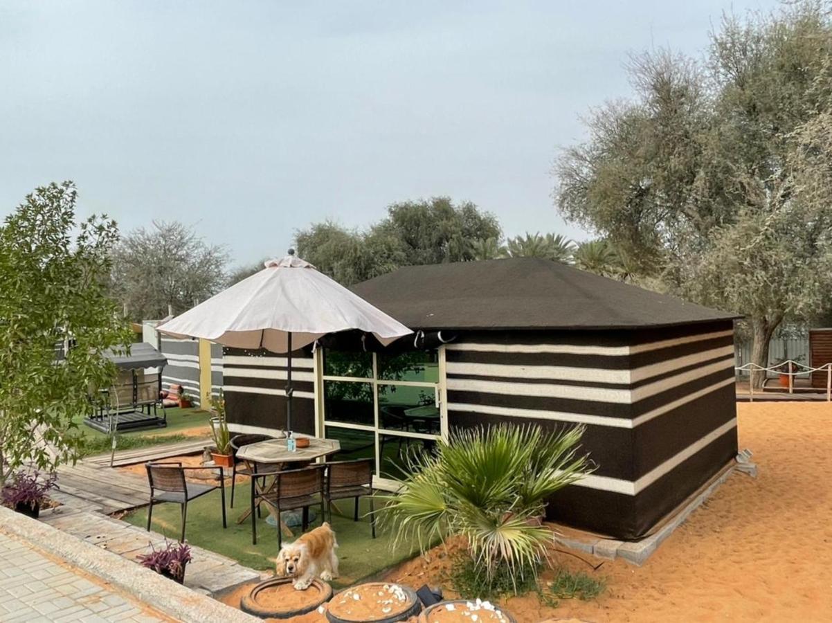 Rak Glamping Ras al-Khaimah Exterior foto