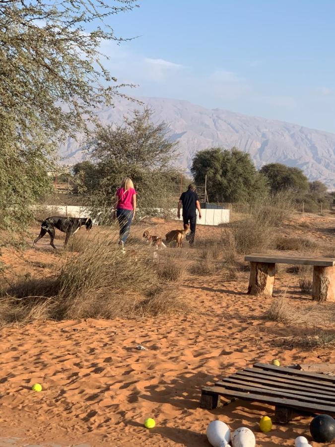 Rak Glamping Ras al-Khaimah Exterior foto